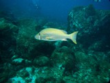 Pousada em Fernando de Noronha